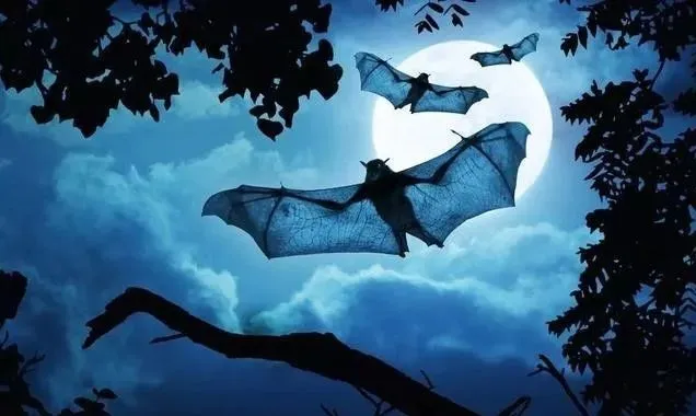 圖片2.png 圖片2.png