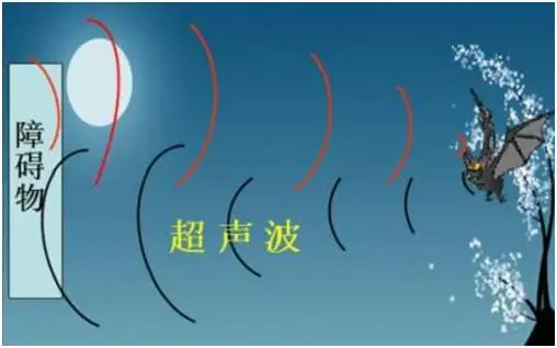 圖片 1.png 圖片 1.png